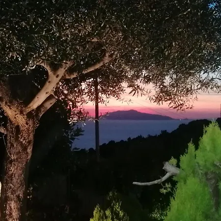 بيت ضيافة La Casa Di Pitti