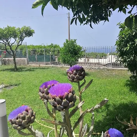 La Casa Di Pitti Guest house 2*