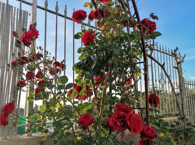 La Casa Di Pitti בית הארחה