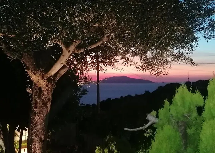 בית הארחה La Casa Di Pitti