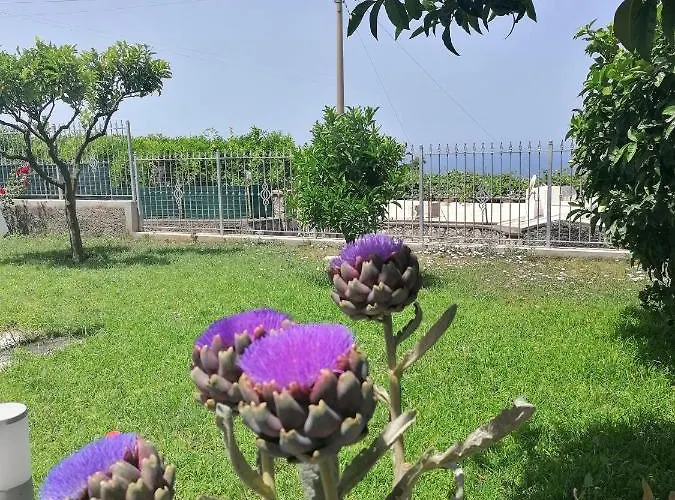 La Casa Di Pitti בית הארחה 4*