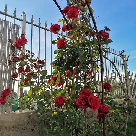 La Casa Di Pitti בית הארחה