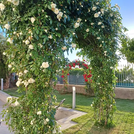 Casa de hóspedes La Casa Di Pitti