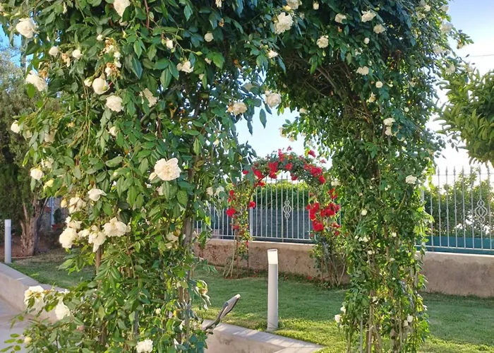 Casa de hóspedes La Casa Di Pitti